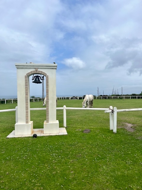 14 Bedroom Property for Sale in Roodefontein AH Western Cape